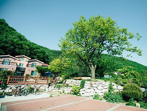 Utopia Pension Gyeongju Dış mekan fotoğraf